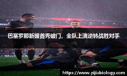 hth华体会体育
