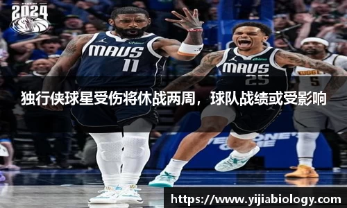 hth华体会