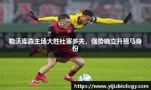 hth华体会体育