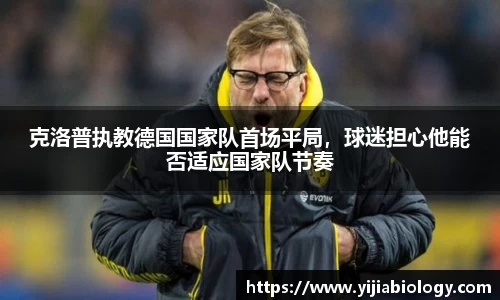 hth华体会官网
