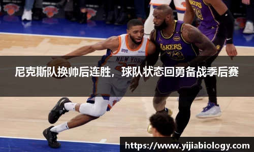 hth华体会官网