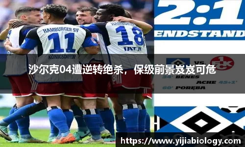hth华体会体育