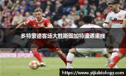 hth华体会官网
