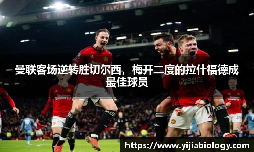 hth华体会官网