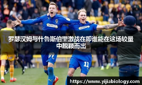 hth华体会官网