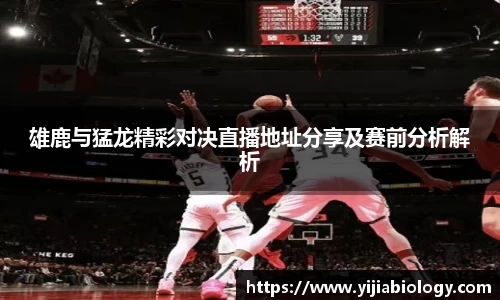 hth华体会官网