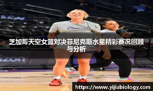 hth华体会官网