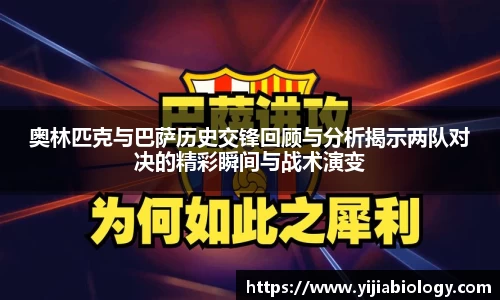 hth华体会官网