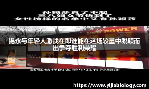 hth华体会体育