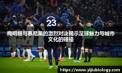 hth华体会体育