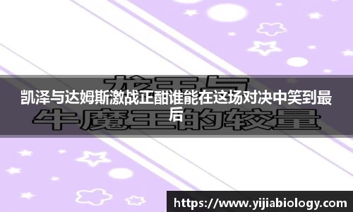 hth华体会体育
