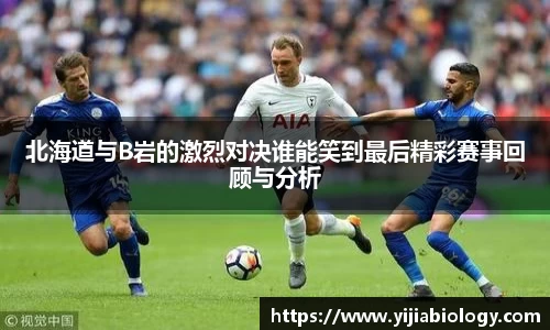 hth华体会体育