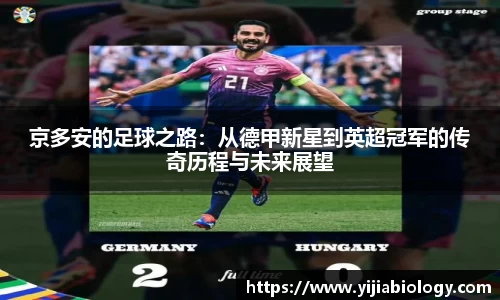hth华体会