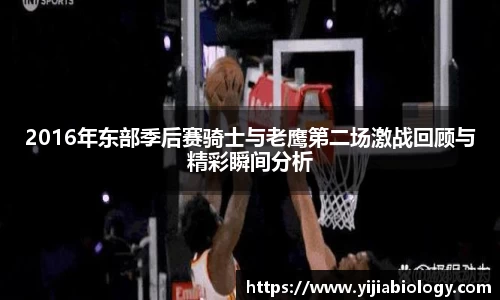 hth华体会