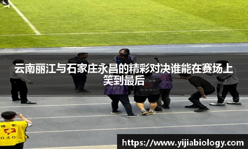 hth华体会官网