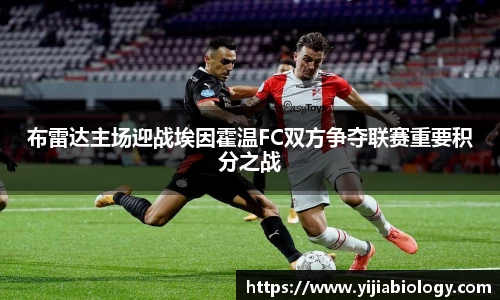 hth华体会官网