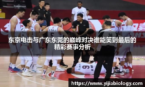 hth华体会体育
