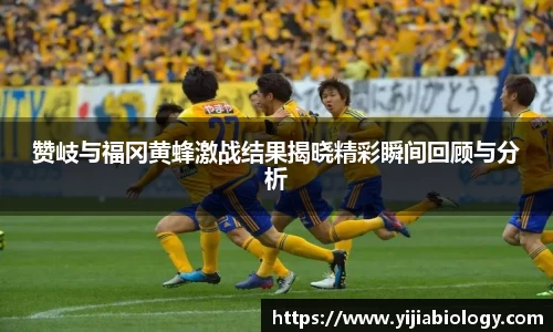 赞岐与福冈黄蜂激战结果揭晓精彩瞬间回顾与分析