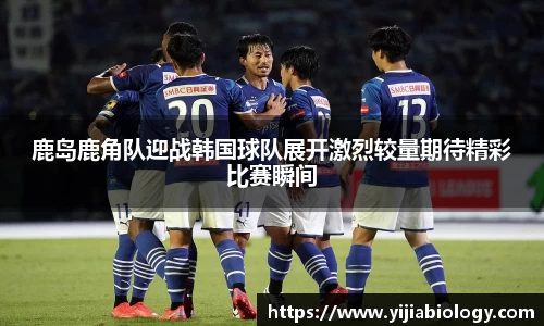 hth华体会官网