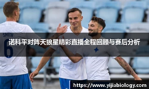 hth华体会体育