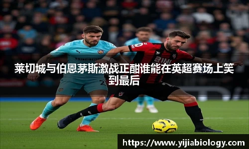 莱切城与伯恩茅斯激战正酣谁能在英超赛场上笑到最后