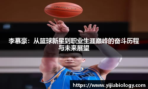 hth华体会体育