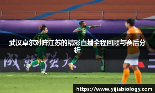 hth华体会体育