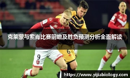 hth华体会体育