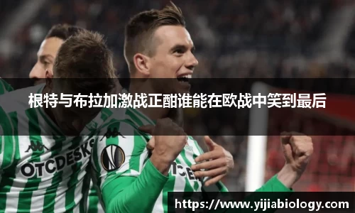 hth华体会官网