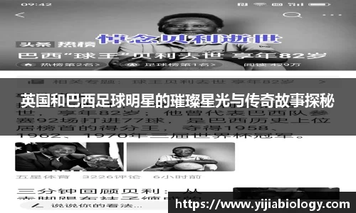 hth华体会体育