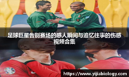 hth华体会体育