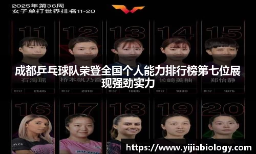 hth华体会官网
