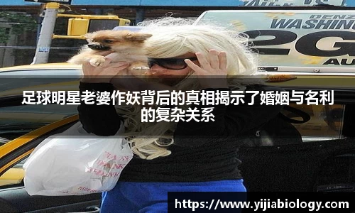 hth华体会官网