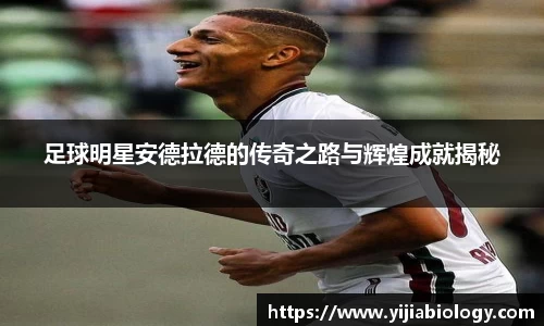 足球明星安德拉德的传奇之路与辉煌成就揭秘