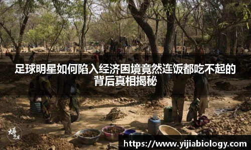 足球明星如何陷入经济困境竟然连饭都吃不起的背后真相揭秘