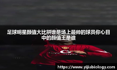 足球明星颜值大比拼谁是场上最帅的球员你心目中的颜值王是谁
