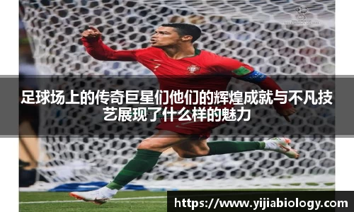 足球场上的传奇巨星们他们的辉煌成就与不凡技艺展现了什么样的魅力