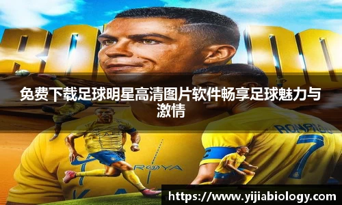 免费下载足球明星高清图片软件畅享足球魅力与激情