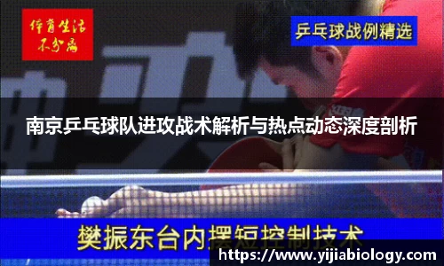 南京乒乓球队进攻战术解析与热点动态深度剖析