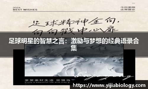 足球明星的智慧之言：激励与梦想的经典语录合集