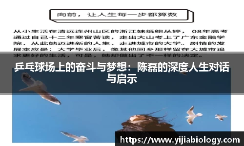 乒乓球场上的奋斗与梦想：陈磊的深度人生对话与启示